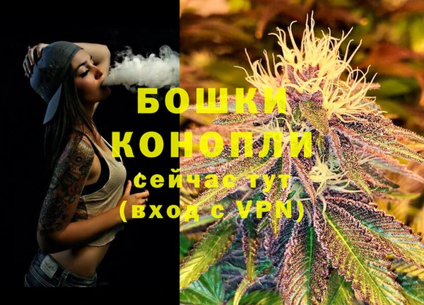эйфоретик Осинники