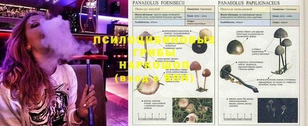 бошки Галич