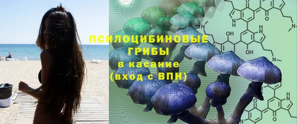 бошки Галич
