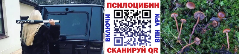 Псилоцибиновые грибы MAGIC MUSHROOMS  MEGA маркетплейс  Остров 